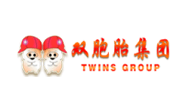 双胞胎