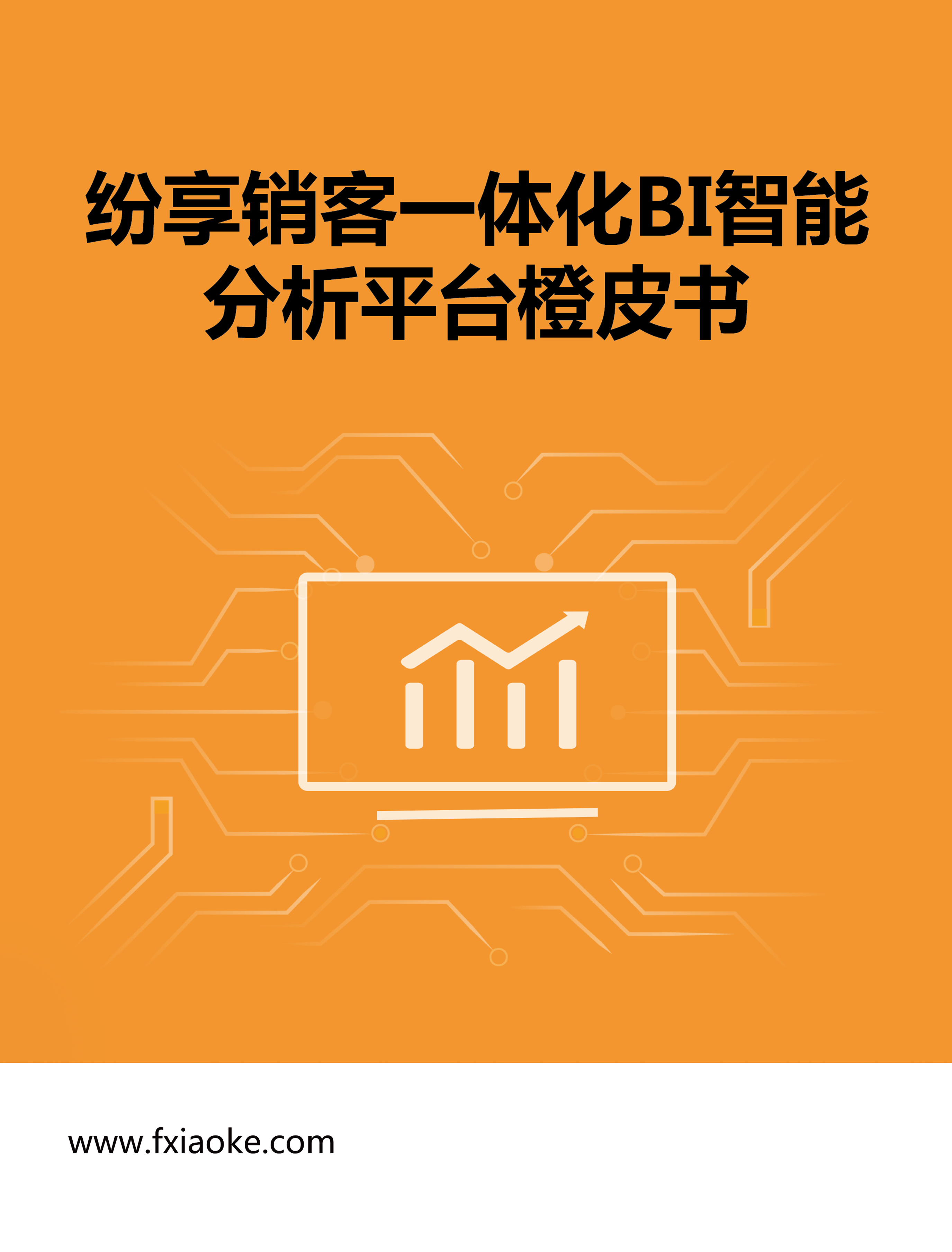 《STAKE中国官方网站销客BI智能剖析平台橙皮书》